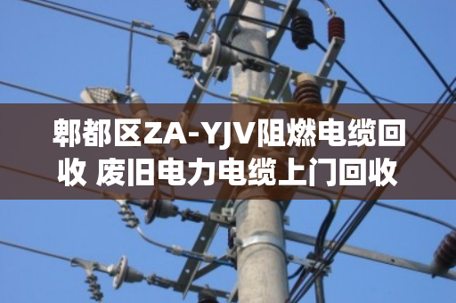 郫都区ZA-YJV阻燃电缆回收 废旧电力电缆上门回收服务