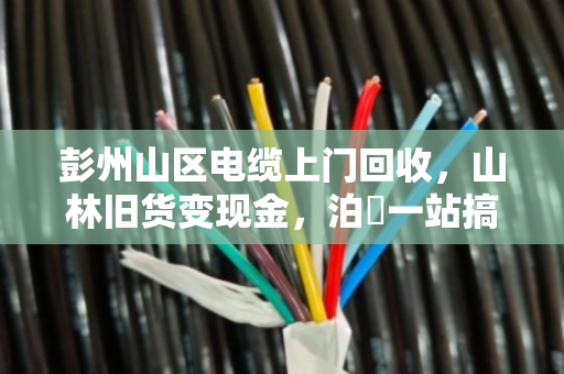彭州山区电缆上门回收,山林旧货变现金,泊祎一站搞定 彭州山区电缆上门回收,山林旧货变现金,泊祎一站搞定