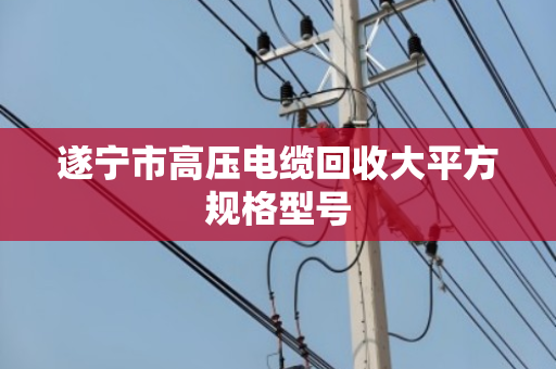 遂宁市高压电缆回收大平方规格型号 遂宁市高压电缆回收大平方规格型号