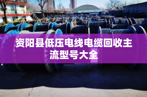 资阳县低压电线电缆回收主流型号大全
