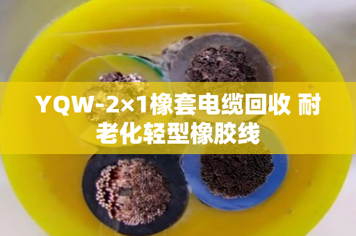 YQW-2×1橡套电缆回收 耐老化轻型橡胶线 YQW-2×1橡套电缆回收 耐老化轻型橡胶线
