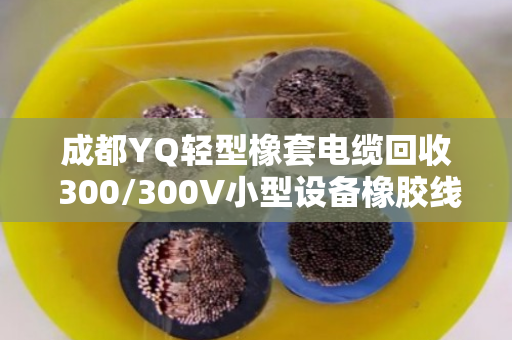 成都YQ轻型橡套电缆回收 300/300V小型设备橡胶线