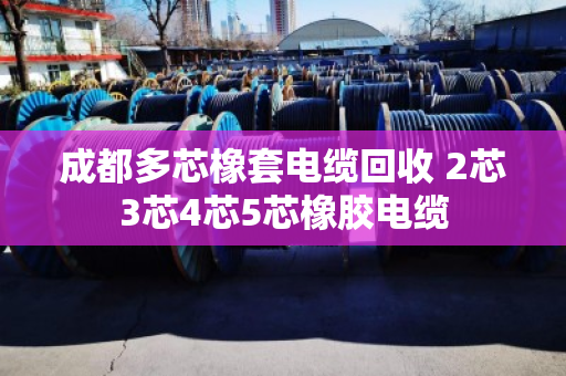 成都多芯橡套电缆回收 2芯3芯4芯5芯橡胶电缆 成都多芯橡套电缆回收 2芯3芯4芯5芯橡胶电缆