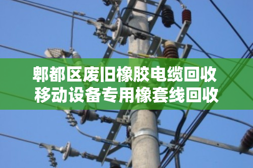 郫都区废旧橡胶电缆回收 移动设备专用橡套线回收 郫都区废旧橡胶电缆回收 移动设备专用橡套线回收
