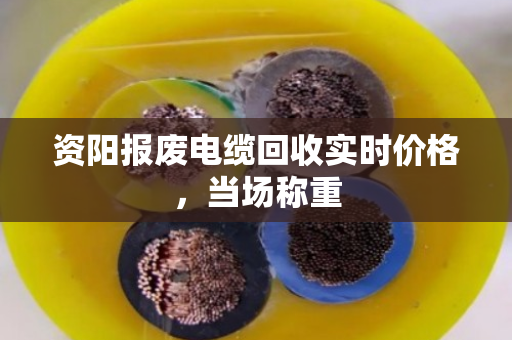 资阳报废电缆回收实时价格,当场称重 资阳报废电缆回收实时价格,当场称重