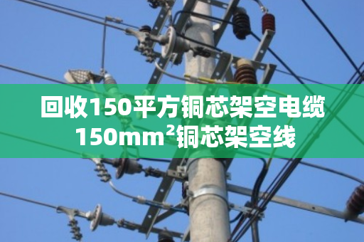 回收150平方铜芯架空电缆 150mm²铜芯架空线