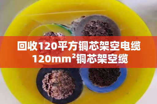 回收120平方铜芯架空电缆 120mm²铜芯架空缆