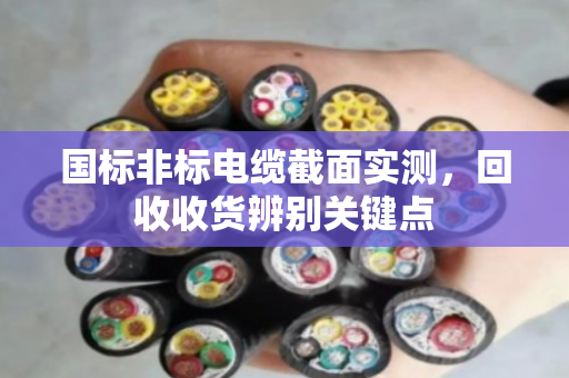 国标非标电缆截面实测,回收收货辨别关键点 国标非标电缆截面实测,回收收货辨别关键点