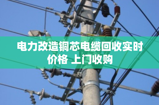 电力改造铜芯电缆回收实时价格 上门收购