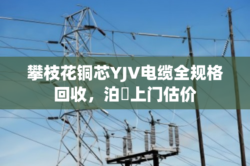 攀枝花铜芯YJV电缆全规格回收,泊祎上门估价 攀枝花铜芯YJV电缆全规格回收,泊祎上门估价