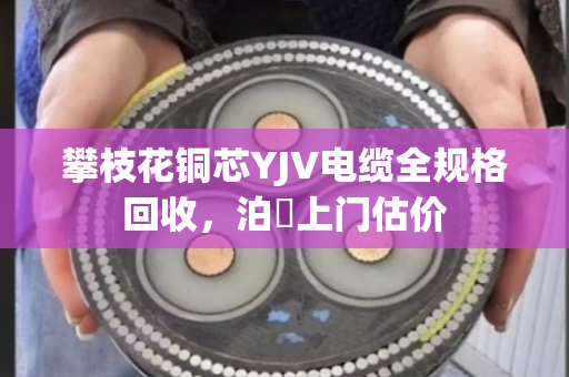 攀枝花铜芯YJV电缆全规格回收，泊祎上门估价