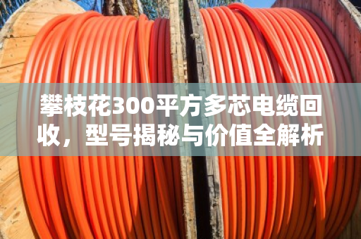 攀枝花300平方多芯电缆回收，型号揭秘与价值全解析