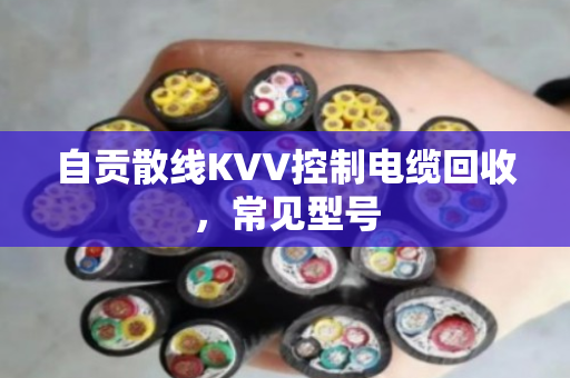 自贡散线KVV控制电缆回收，常见型号