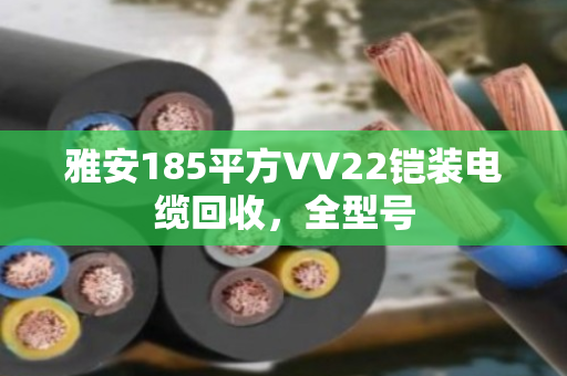 雅安185平方VV22铠装电缆回收,全型号 雅安185平方VV22铠装电缆回收,全型号