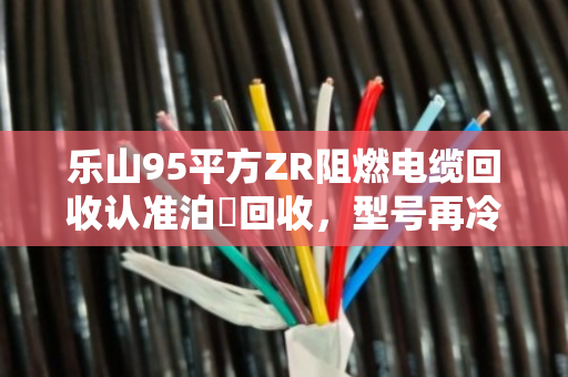 乐山95平方ZR阻燃电缆回收认准泊祎回收,型号再冷门也能估价结款 乐山95平方ZR阻燃电缆回收认准泊祎回收,型号再冷门也能估价结款