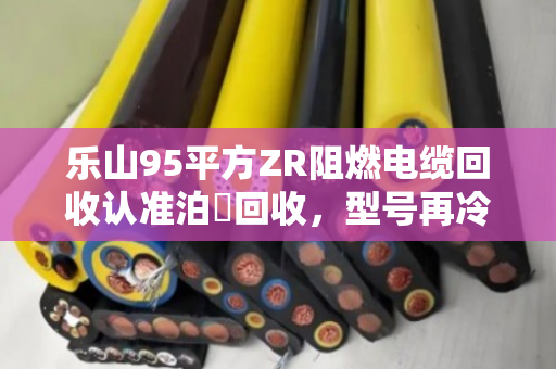 乐山95平方ZR阻燃电缆回收认准泊祎回收,型号再冷门也能估价结款 乐山95平方ZR阻燃电缆回收认准泊祎回收,型号再冷门也能估价结款