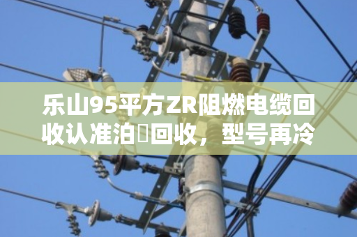 乐山95平方ZR阻燃电缆回收认准泊祎回收,型号再冷门也能估价结款 乐山95平方ZR阻燃电缆回收认准泊祎回收,型号再冷门也能估价结款
