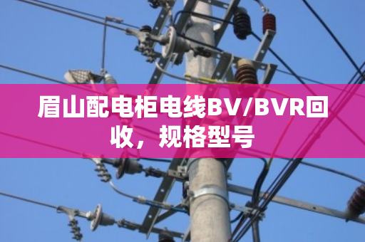 眉山配电柜电线BV/BVR回收，规格型号