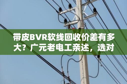 带皮BVR软线回收价差有多大？广元老电工亲述，选对型号多赚30%