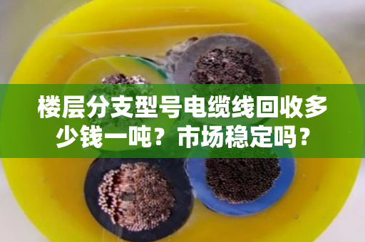 楼层分支型号电缆线回收多少钱一吨?市场稳定吗? 楼层分支型号电缆线回收多少钱一吨?市场稳定吗?