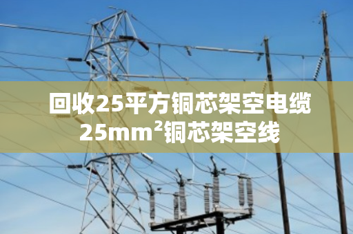  回收25平方铜芯架空电缆 25mm²铜芯架空线