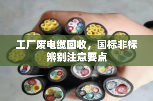 工厂废电缆回收，国标非标辨别注意要点