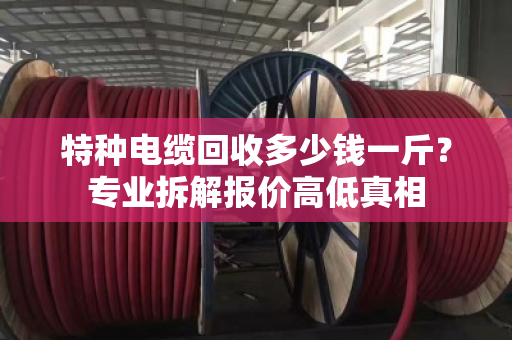 特种电缆回收多少钱一斤？专业拆解报价高低真相