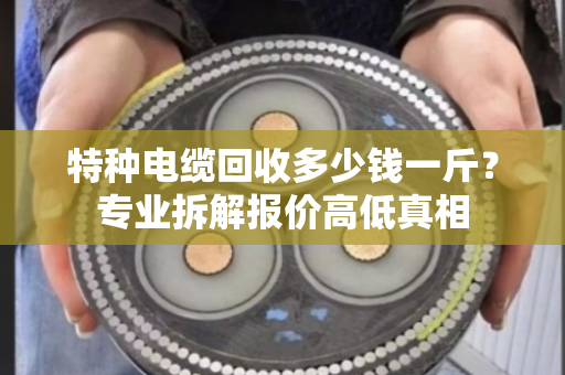 特种电缆回收多少钱一斤？专业拆解报价高低真相