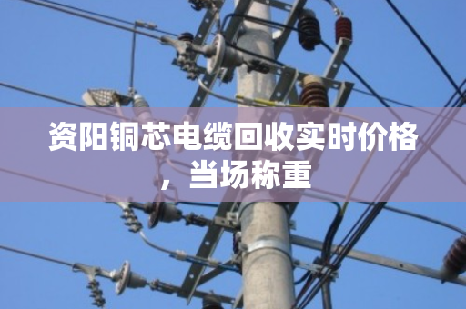 资阳铜芯电缆回收实时价格,当场称重 资阳铜芯电缆回收实时价格,当场称重