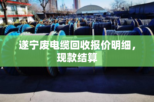 遂宁废电缆回收报价明细,现款结算 遂宁废电缆回收报价明细,现款结算