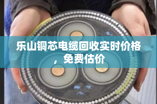 乐山铜芯电缆回收实时价格,免费估价 乐山铜芯电缆回收实时价格,免费估价