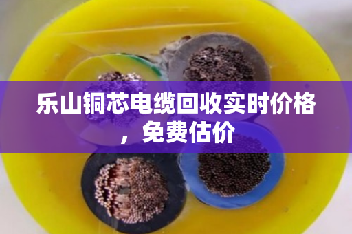 乐山铜芯电缆回收实时价格，免费估价