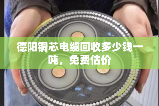 德阳铜芯电缆回收多少钱一吨,免费估价 德阳铜芯电缆回收多少钱一吨,免费估价