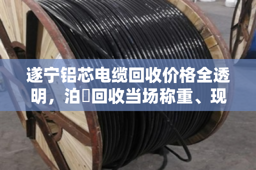 遂宁铝芯电缆回收价格全透明,泊祎回收当场称重、现金结算 遂宁铝芯电缆回收价格全透明,泊祎回收当场称重、现金结算