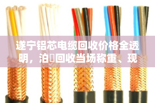 遂宁铝芯电缆回收价格全透明,泊祎回收当场称重、现金结算 遂宁铝芯电缆回收价格全透明,泊祎回收当场称重、现金结算