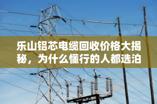 乐山铝芯电缆回收价格大揭秘,为什么懂行的人都选泊祎回收? 乐山铝芯电缆回收价格大揭秘,为什么懂行的人都选泊祎回收?