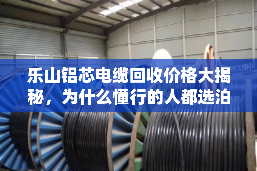 乐山铝芯电缆回收价格大揭秘,为什么懂行的人都选泊祎回收? 乐山铝芯电缆回收价格大揭秘,为什么懂行的人都选泊祎回收?
