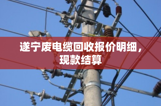遂宁废电缆回收报价明细,现款结算 遂宁废电缆回收报价明细,现款结算