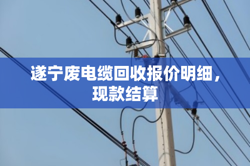 遂宁废电缆回收报价明细,现款结算 遂宁废电缆回收报价明细,现款结算