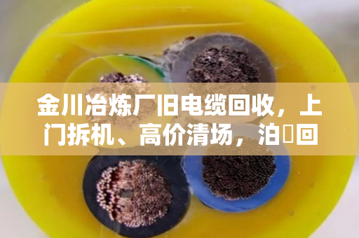 金川冶炼厂旧电缆回收，上门拆机、高价清场，泊祎回收让您省心到底