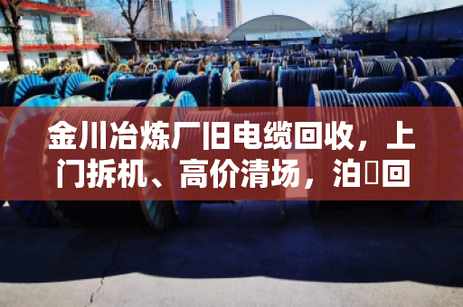 金川冶炼厂旧电缆回收，上门拆机、高价清场，泊祎回收让您省心到底