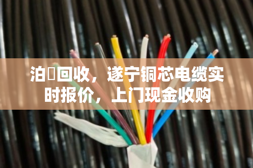 泊祎回收,遂宁铜芯电缆实时报价,上门现金收购 泊祎回收,遂宁铜芯电缆实时报价,上门现金收购