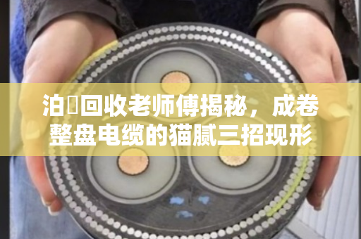 泊祎回收老师傅揭秘,成卷整盘电缆的猫腻三招现形 泊祎回收老师傅揭秘,成卷整盘电缆的猫腻三招现形
