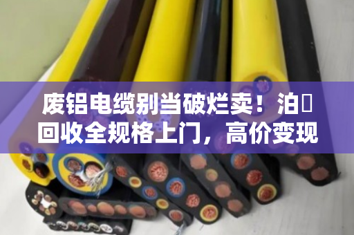 废铝电缆别当破烂卖!泊祎回收全规格上门,高价变现 废铝电缆别当破烂卖!泊祎回收全规格上门,高价变现