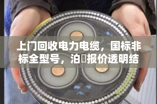 上门回收电力电缆，国标非标全型号，泊祎报价透明结款快