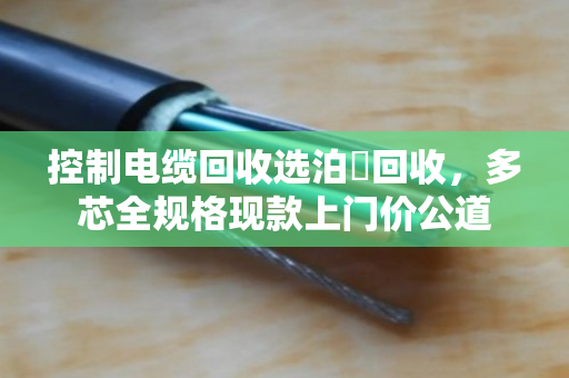 控制电缆回收选泊祎回收，多芯全规格现款上门价公道