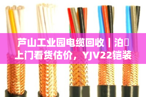 芦山工业园电缆回收|泊祎上门看货估价,YJV22铠装缆/KVV控制缆全收 芦山工业园电缆回收|泊祎上门看货估价,YJV22铠装缆/KVV控制缆全收