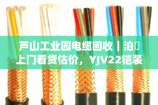芦山工业园电缆回收|泊祎上门看货估价,YJV22铠装缆/KVV控制缆全收 芦山工业园电缆回收|泊祎上门看货估价,YJV22铠装缆/KVV控制缆全收