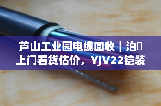 芦山工业园电缆回收|泊祎上门看货估价,YJV22铠装缆/KVV控制缆全收 芦山工业园电缆回收|泊祎上门看货估价,YJV22铠装缆/KVV控制缆全收