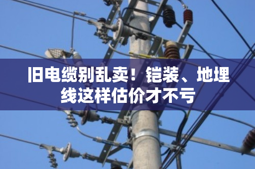 旧电缆别乱卖!铠装、地埋线这样估价才不亏 旧电缆别乱卖!铠装、地埋线这样估价才不亏